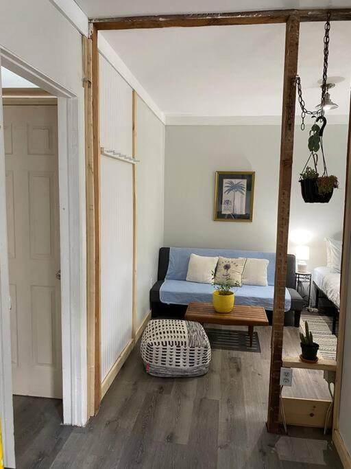 Studio Apt W Garden Kingston Ngoại thất bức ảnh
