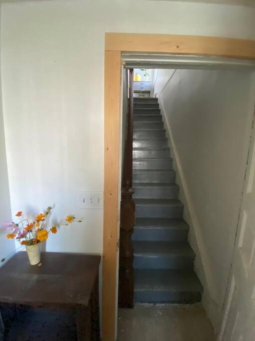 Studio Apt W Garden Kingston Ngoại thất bức ảnh