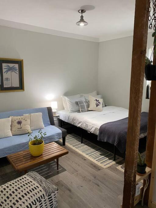 Studio Apt W Garden Kingston Ngoại thất bức ảnh